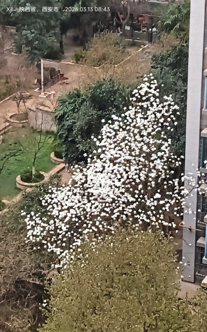 
思想聚焦
人这一辈子，最最宝贵、最最重要的，不是钱财，不是权势，不是地位，也