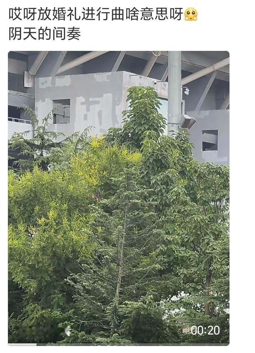 首页25有票的人有福了，可以看自己的cp棍宝结婚99 