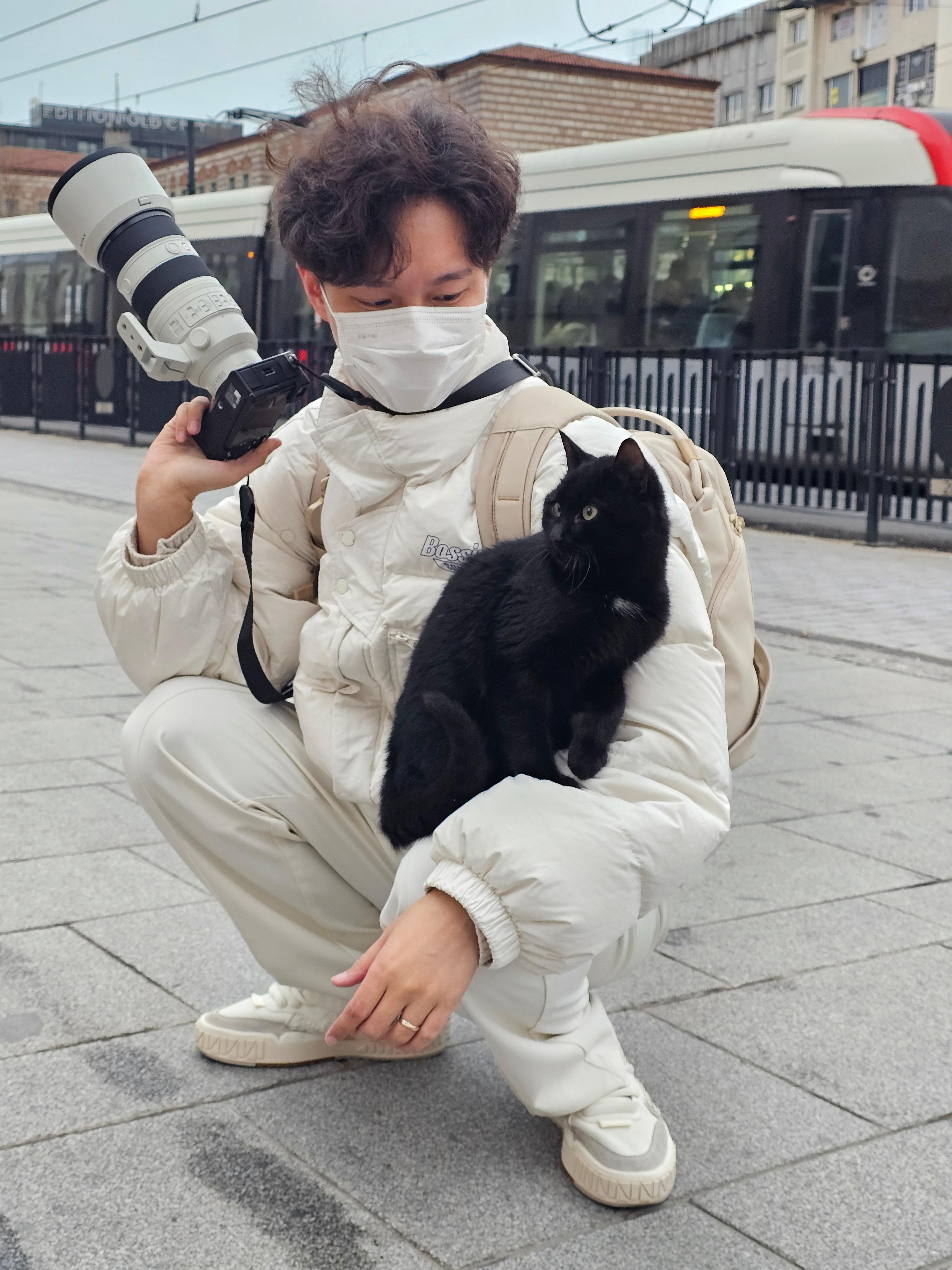 🐱就这么凑了上来 土耳其·伊斯坦布尔