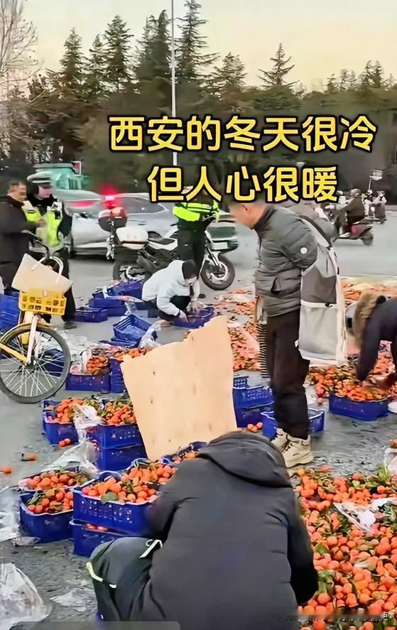 近日，一辆沙糖桔的货车在西安翻车后，200多箱沙糖桔洒了一地，车主慌了，这可怎么