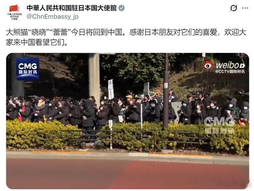 中国驻日大使馆：大熊猫“晓晓”“蕾蕾”今日将回到中国。感谢日本朋友对它们的喜爱，