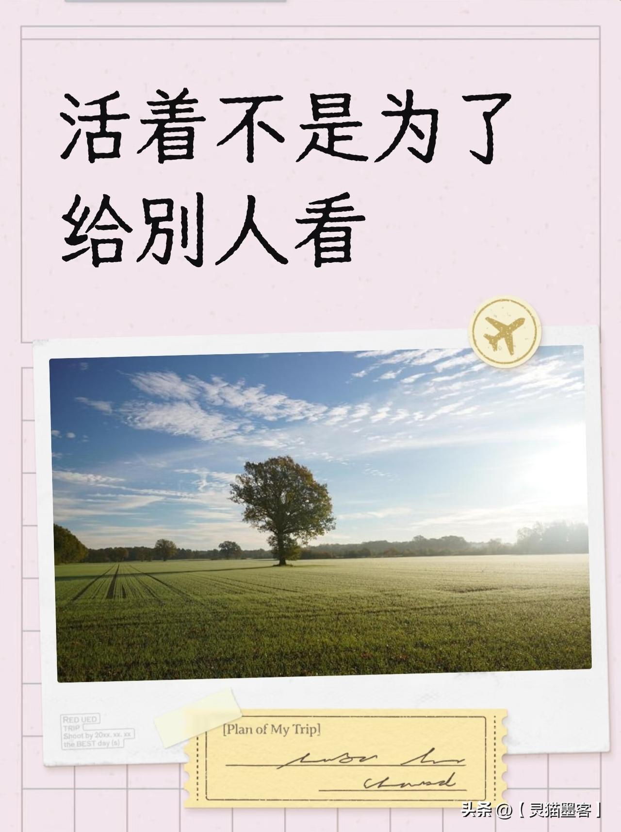 我们穿什么、做什么工作、甚至和谁结婚，首要考虑的是别人会怎么看。它的动力来自对认