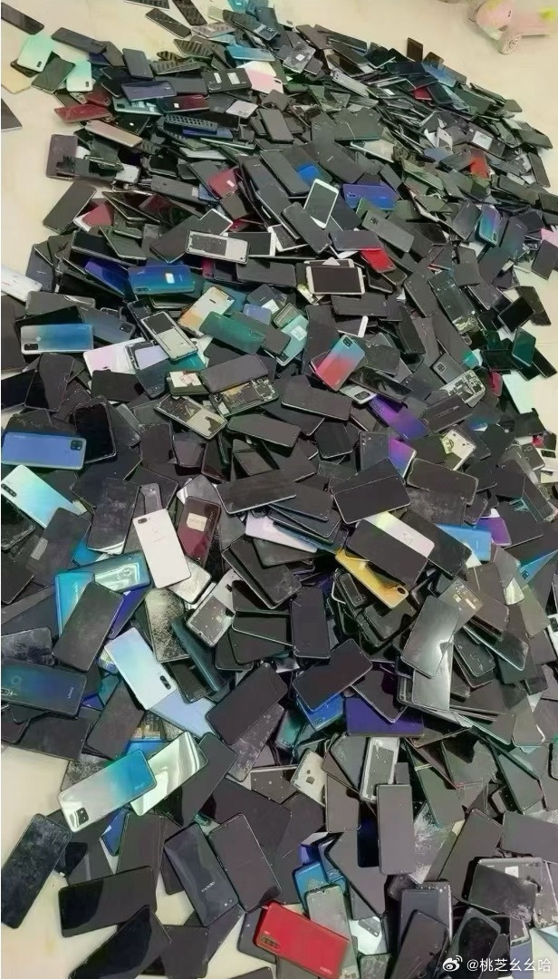 2025年的网友不会想到，2026年最新赛道是回收旧手机生活笑料撞满怀我的幽默灵