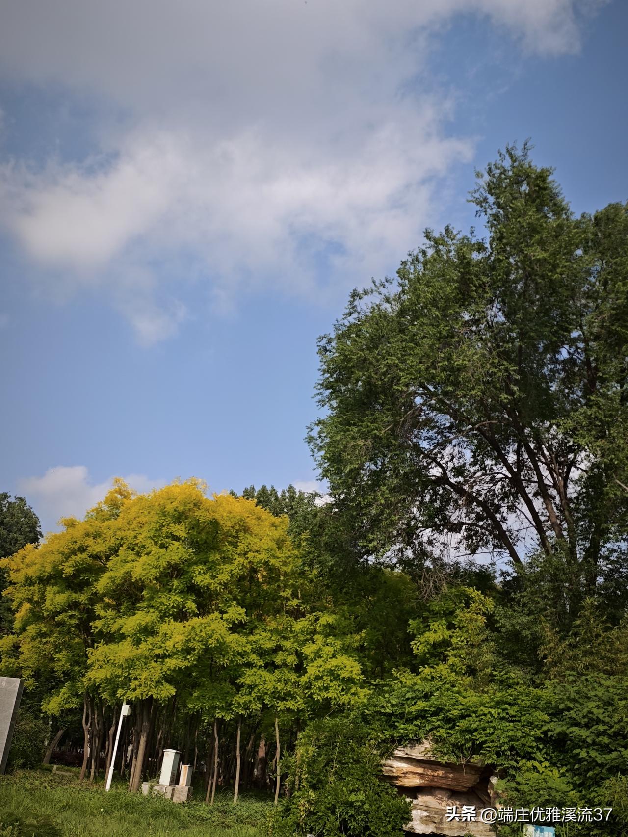 618准备买两台电扇！
现在的人都爱吹空调，但我不能吹，到了夏天我就要用电扇，实
