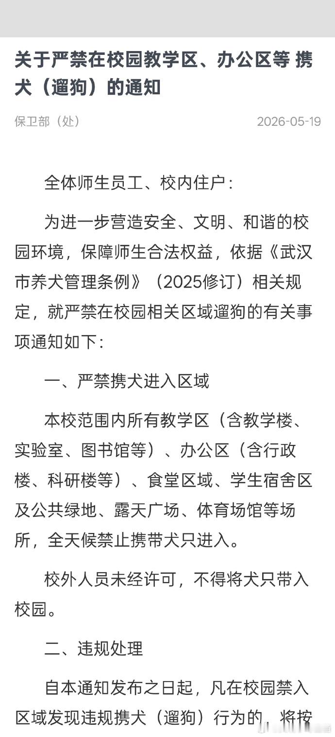 内蒙古的大学，能抄作业吗？校园内流浪狗、散养狗是给脸上添光加彩活跃气氛吗？华中科