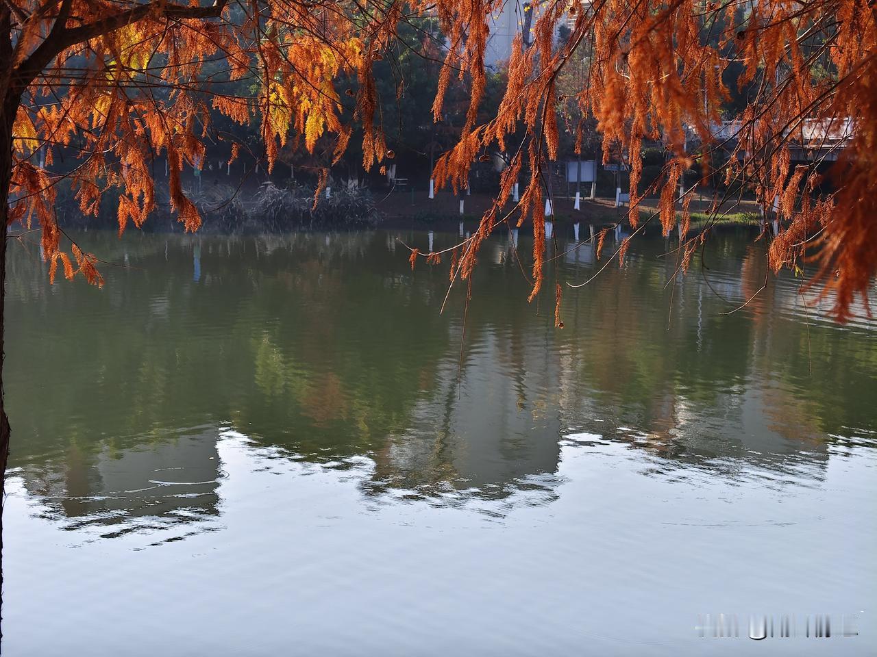 美不在他处，美在此刻的驻足
分享一下你随手拍下的照片 美景风景随手拍 原创美景随