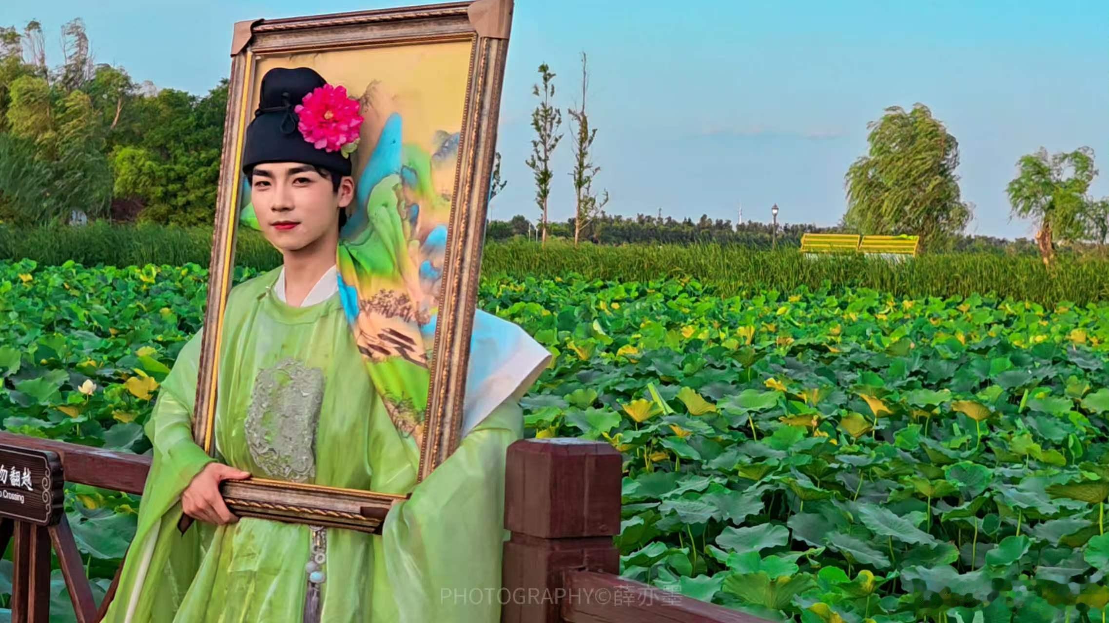 【寻美淮阳赴一场夏日文旅之约】看一池荷花，懂千年文脉，周口淮阳的夏天，真的很适合
