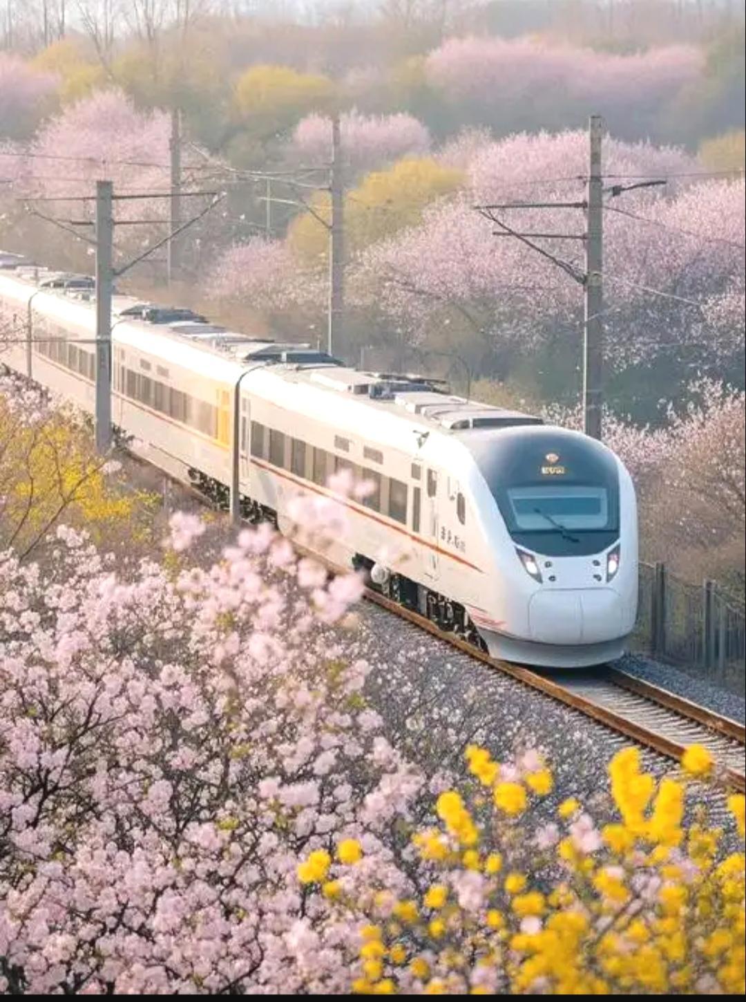 12306官方平台回应，没有于第三方任何平台合作，也没有给第三方平台提供信息。那