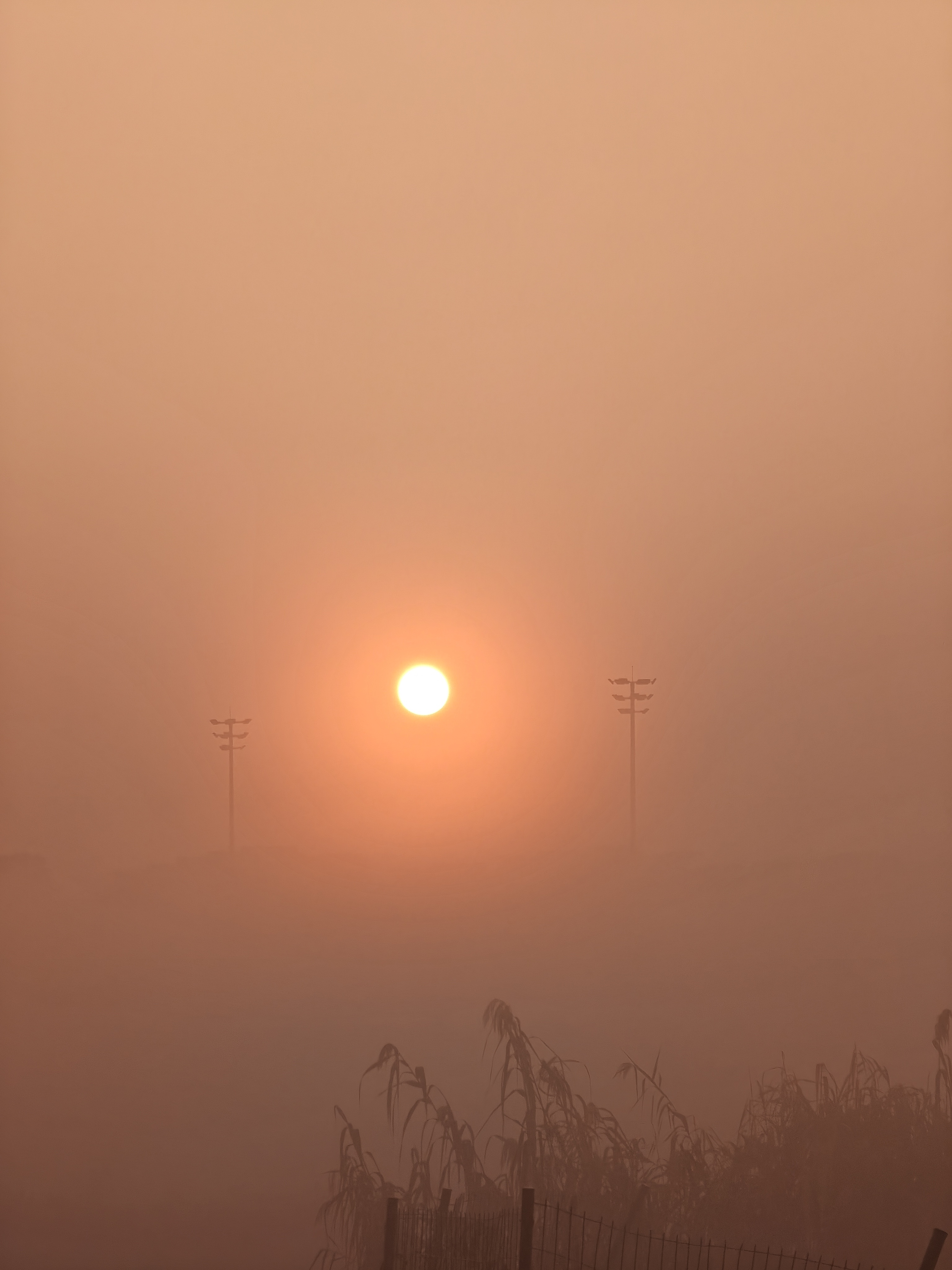 遇雾，看雾，穿雾。 