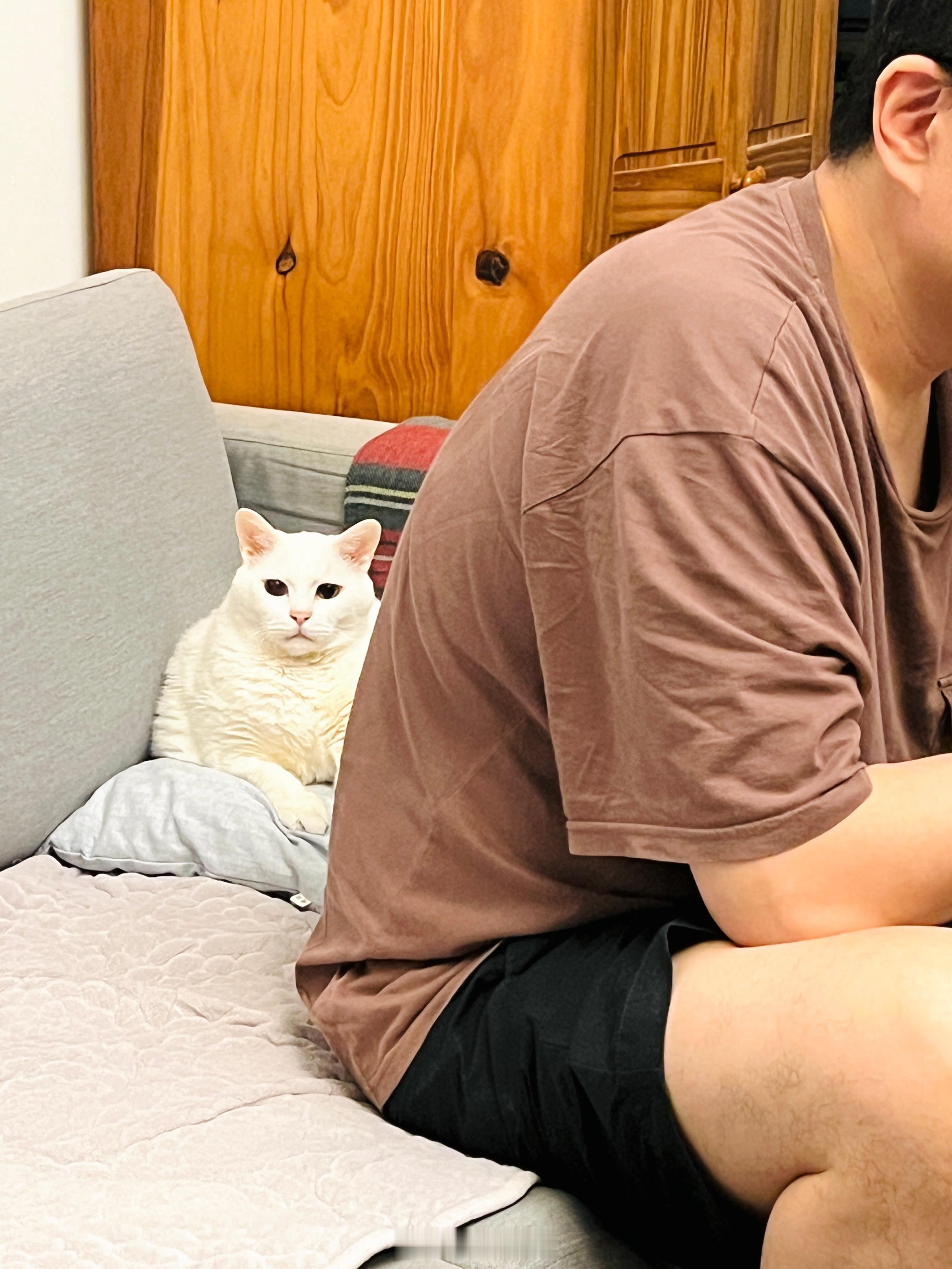 抱抱！睡覺。 ​​​