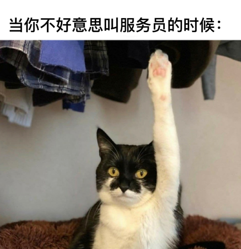 希望能看到#今日memes# //#龙年造梗大赛# ​​​