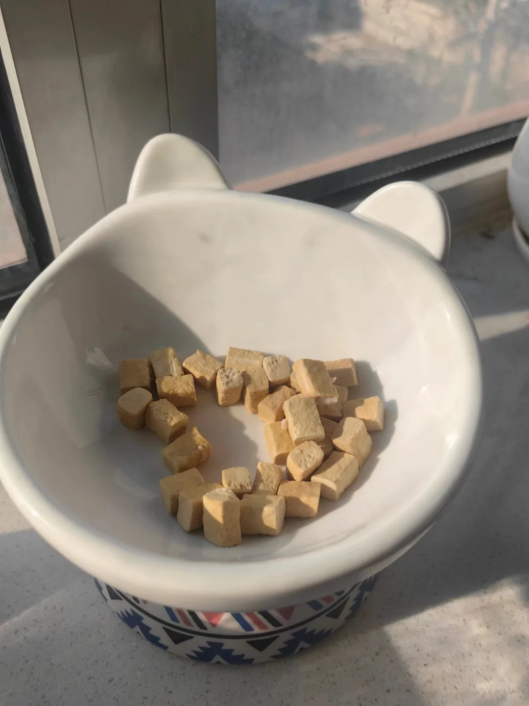 whats my cat share  | 晒猫搭子