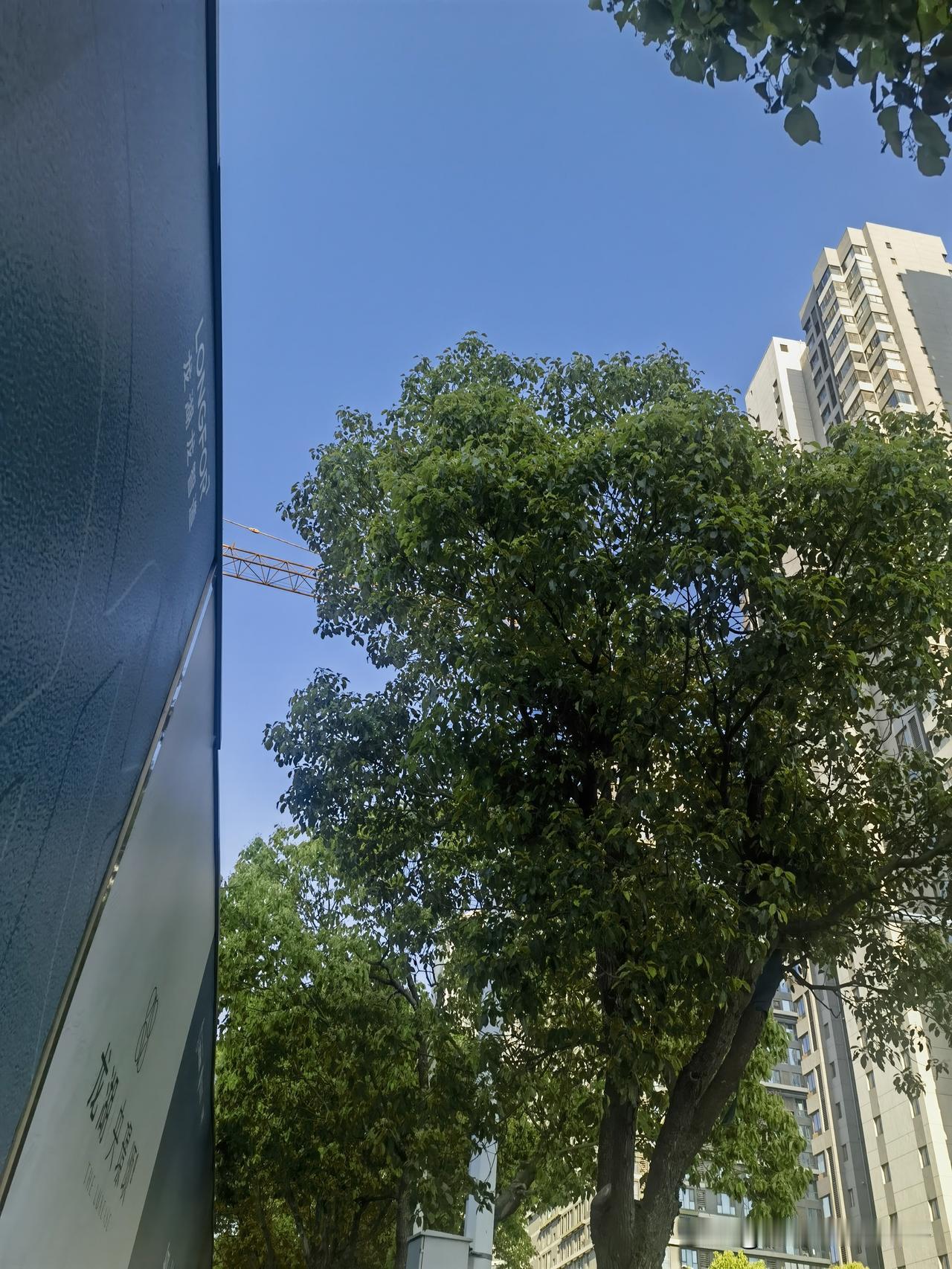 在吉林市的朋友们对地震有印象吗

我在吉林市生活了三十多年，大学毕业就分到吉林市