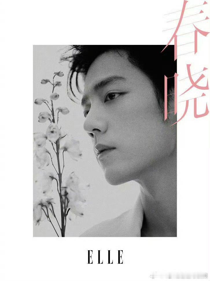 肖战x elle 1月刊封面预热，开年刊好彩头 