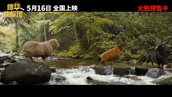 绵羊侦探团中文配音阵容 这个5月，让我们一起走进可爱的绵羊世界！沙溢、白客、土豆