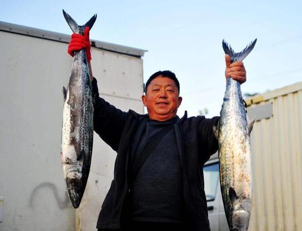 关于人间至味，古语有云：“山上鹧鸪獐，海底马鲛鲳”，马鲛就是指鲅鱼了！
鹧鸪这种