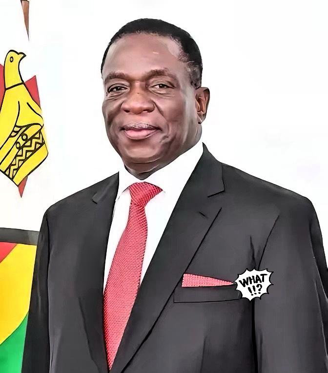 前脚巴拿马不顾中方反对，强行接管了巴拿马港口，后脚津巴布韦突然宣布暂停锂矿出口。