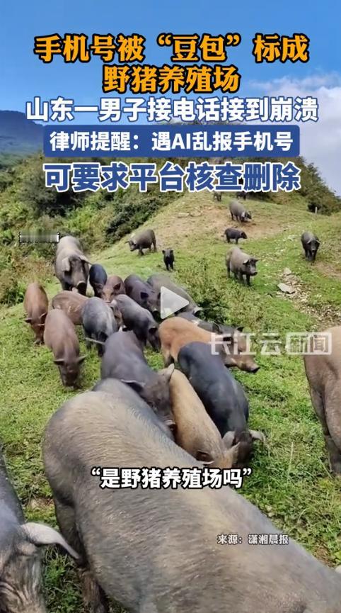 实在熬不住了！近日山东传来闹心一幕，不少本地网友纷纷转发吐槽此事。多年自用手机号