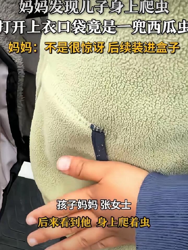 万万没想到!安徽合肥，女子发现孩子衣服上有虫子爬，她过去找了半天，最后掀开衣兜一