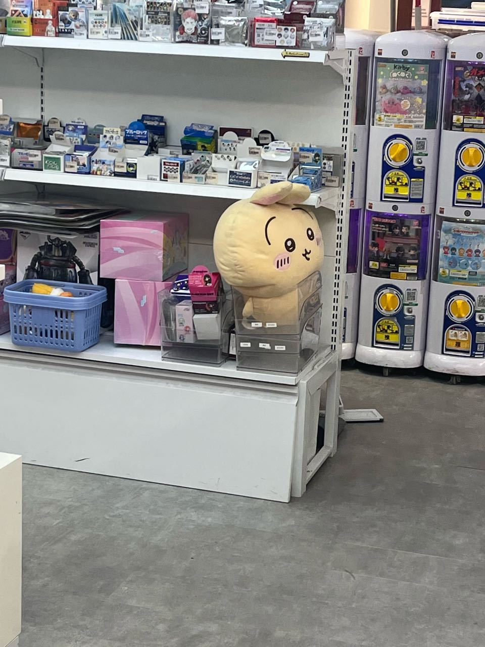 缟纻逛街看到duang大一只乌就这么塞在这里真的好好笑啊😆 