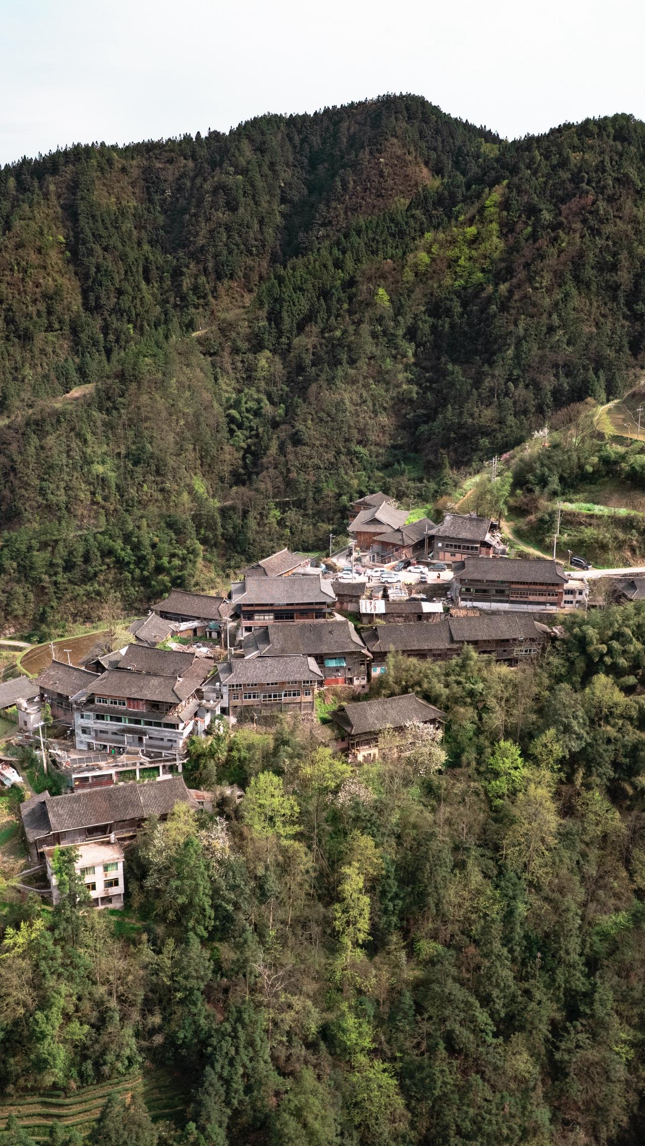 大山深处自然美景 婚礼跟拍