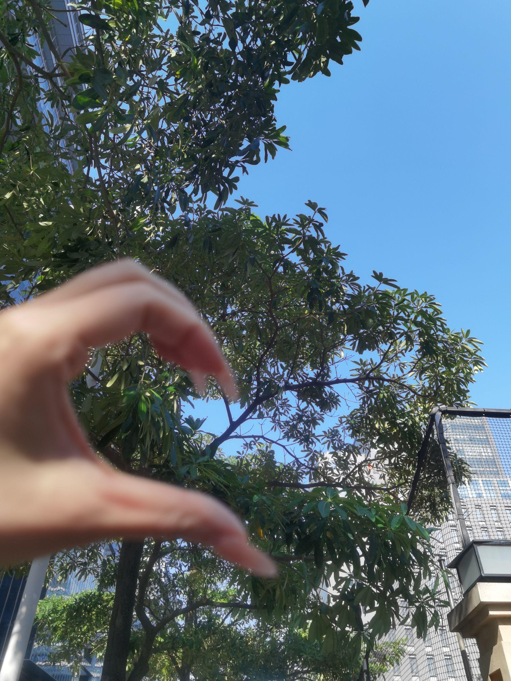 初秋的早晨也是极好的   🍂