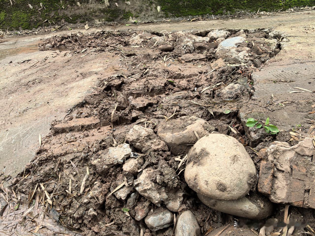 今天我又多管闲事了，哪怕我妈在一边说不关我的事让我别瞎操心。那么多人都看得惯显得