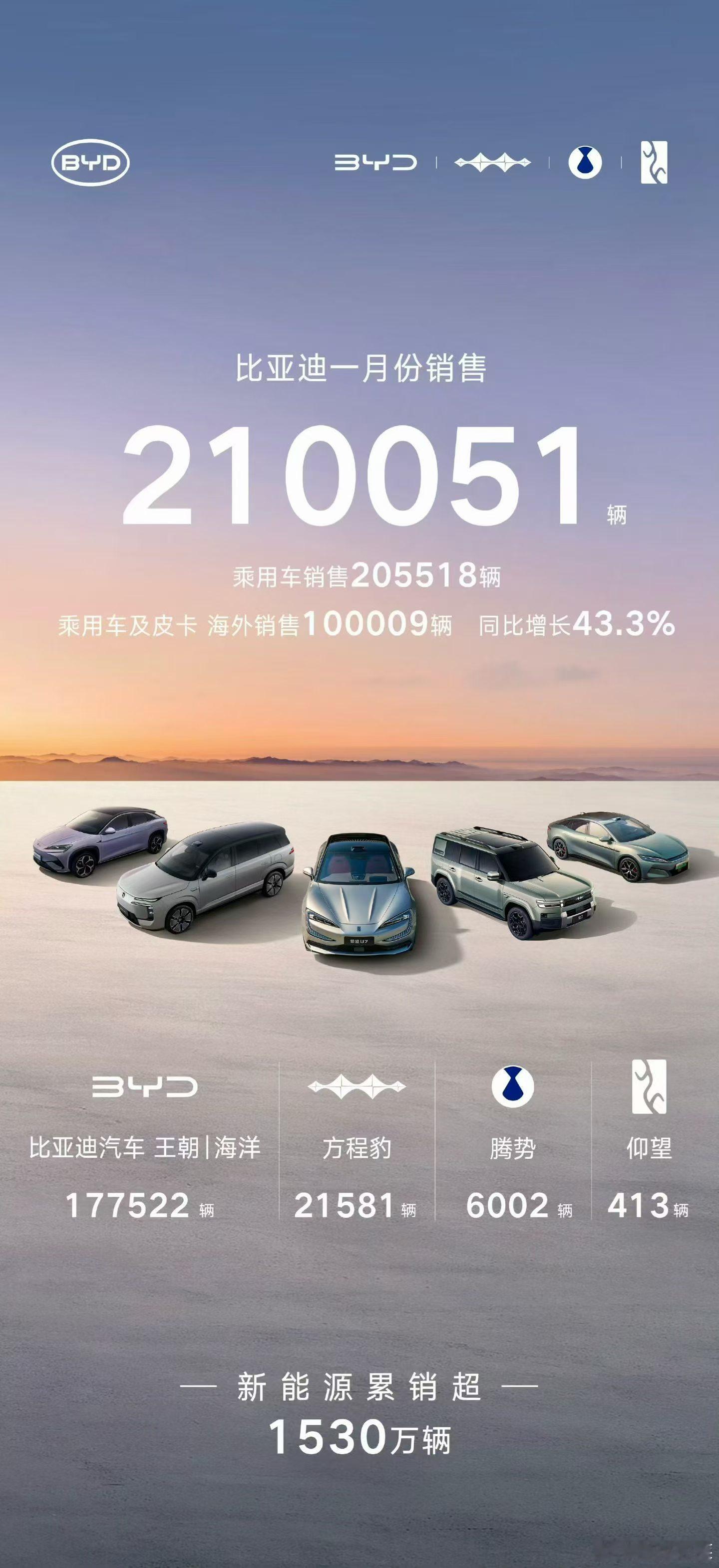 比亚迪1月销量炸了！乘用车和皮卡卖了210051辆，光海外就干到100009辆，