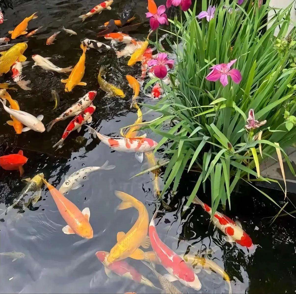 氟化工一季报利润增长标的688549 中巨芯-U601678 滨化股份00240