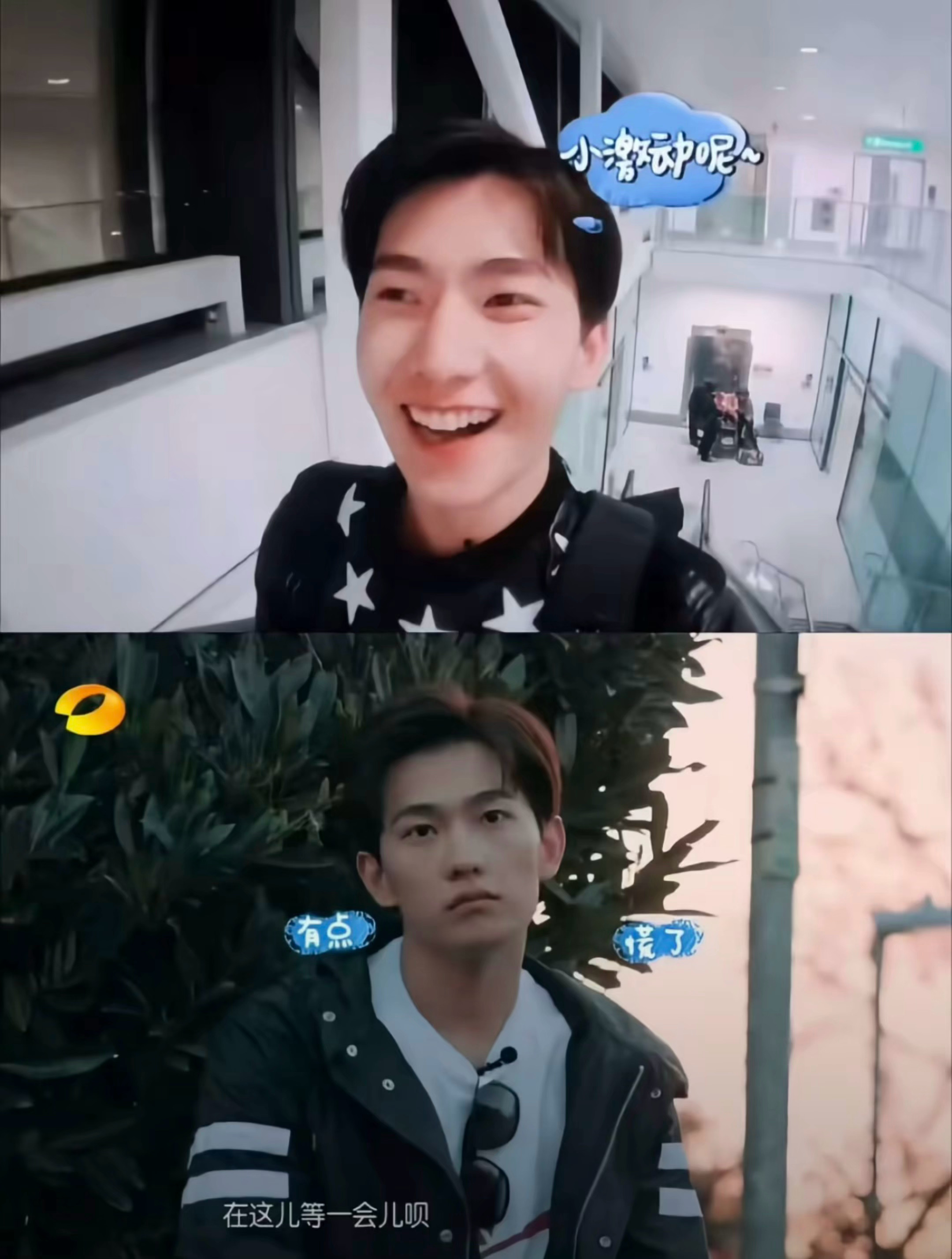 花少2杨洋走丢事件《最不屑一顾是想死》 ​​​