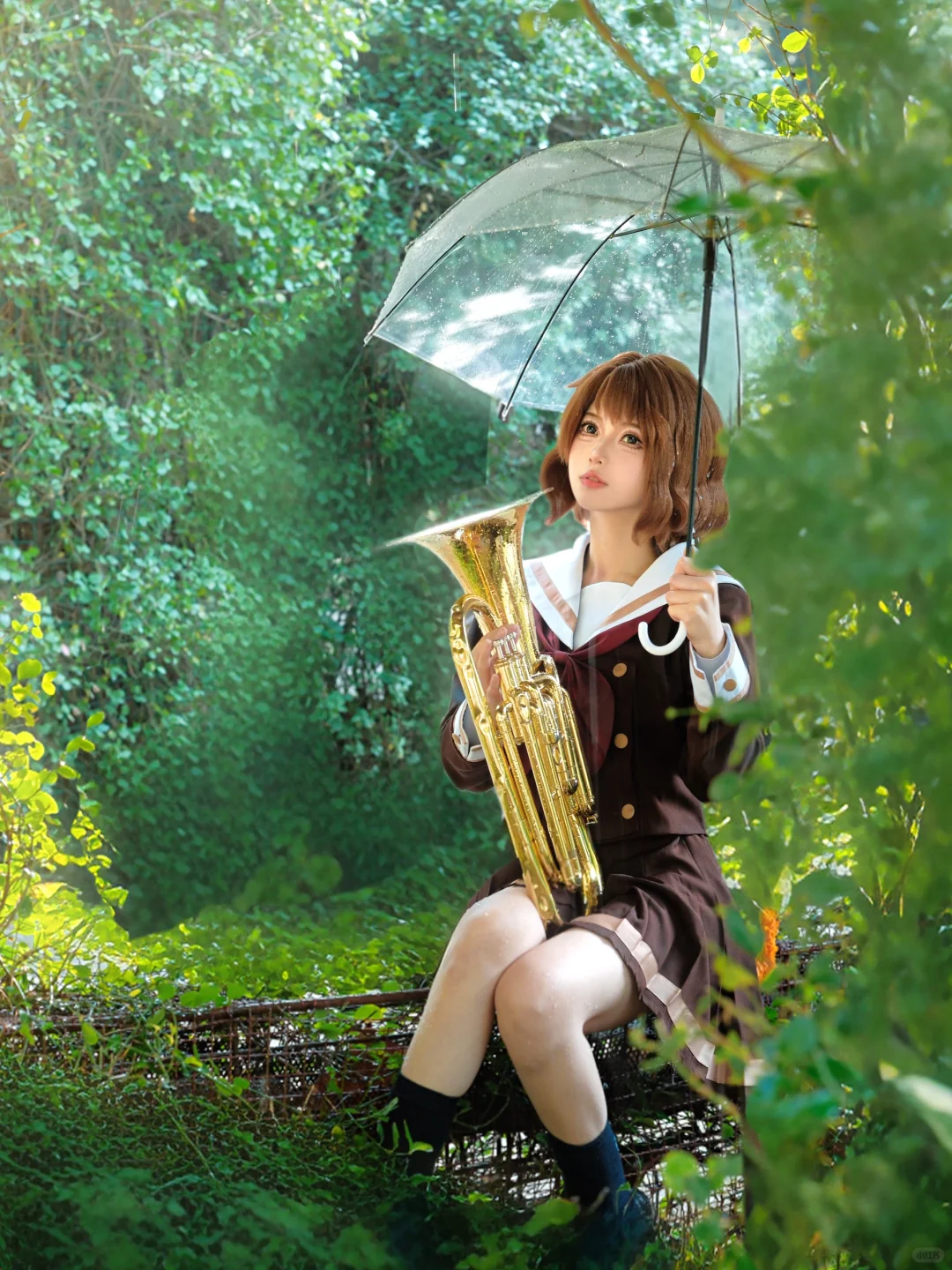 雨后天晴☀️/ 祝贺久美子世萌夺冠🏆