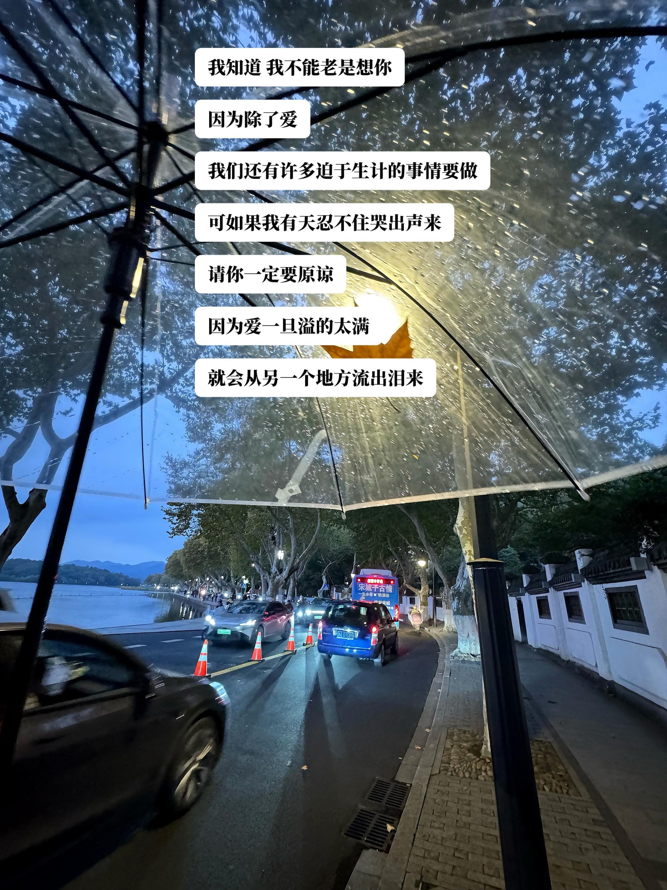 有那么一瞬间   情绪上来了   特别想你   要是你在我身边就好了