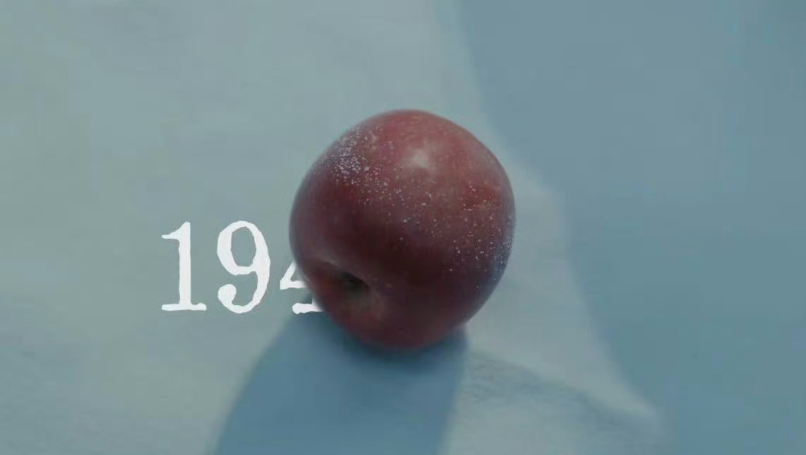 晚间休息，继续看《反人类暴行》，真是电影制作级别的镜头语言。寻常电视剧，为了照顾