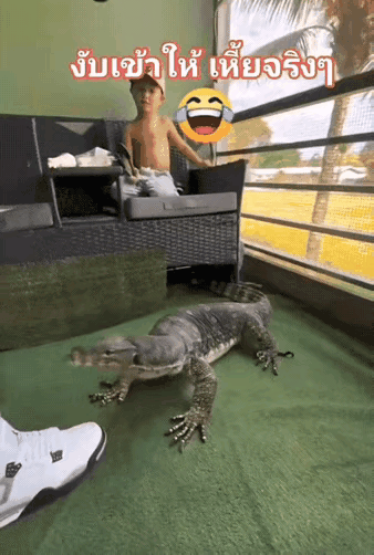 这一口要是咬中了要害，哈哈，这辈子就做不了男子汉了。
这小哥生得孔武有力，那发达