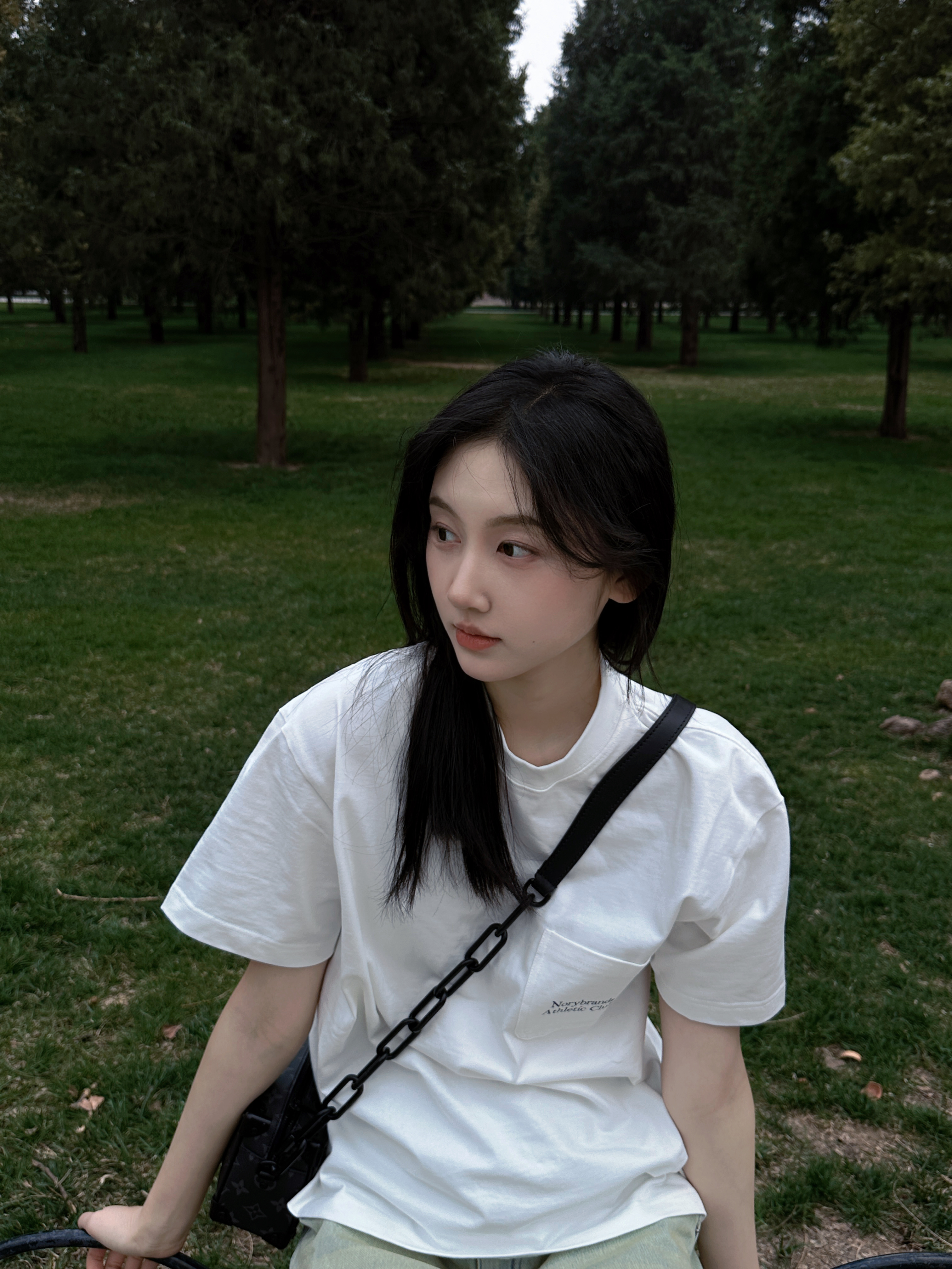春綠 🌳 ​​​
