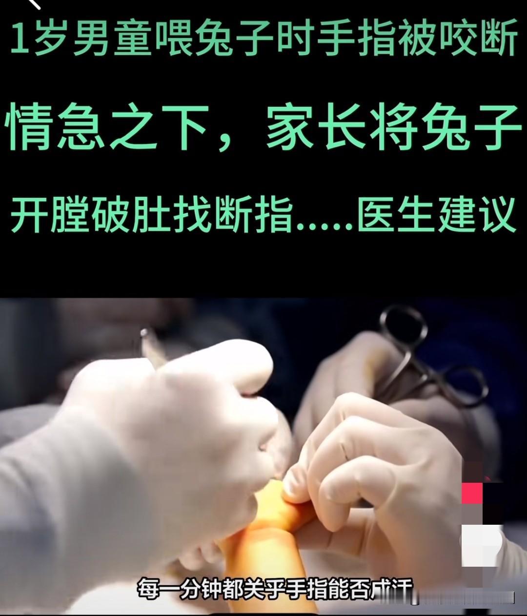 “小白兔白又白，
两只耳朵竖起来。
爱吃萝卜爱吃菜，
蹦蹦跳跳真可爱”。
童谣里