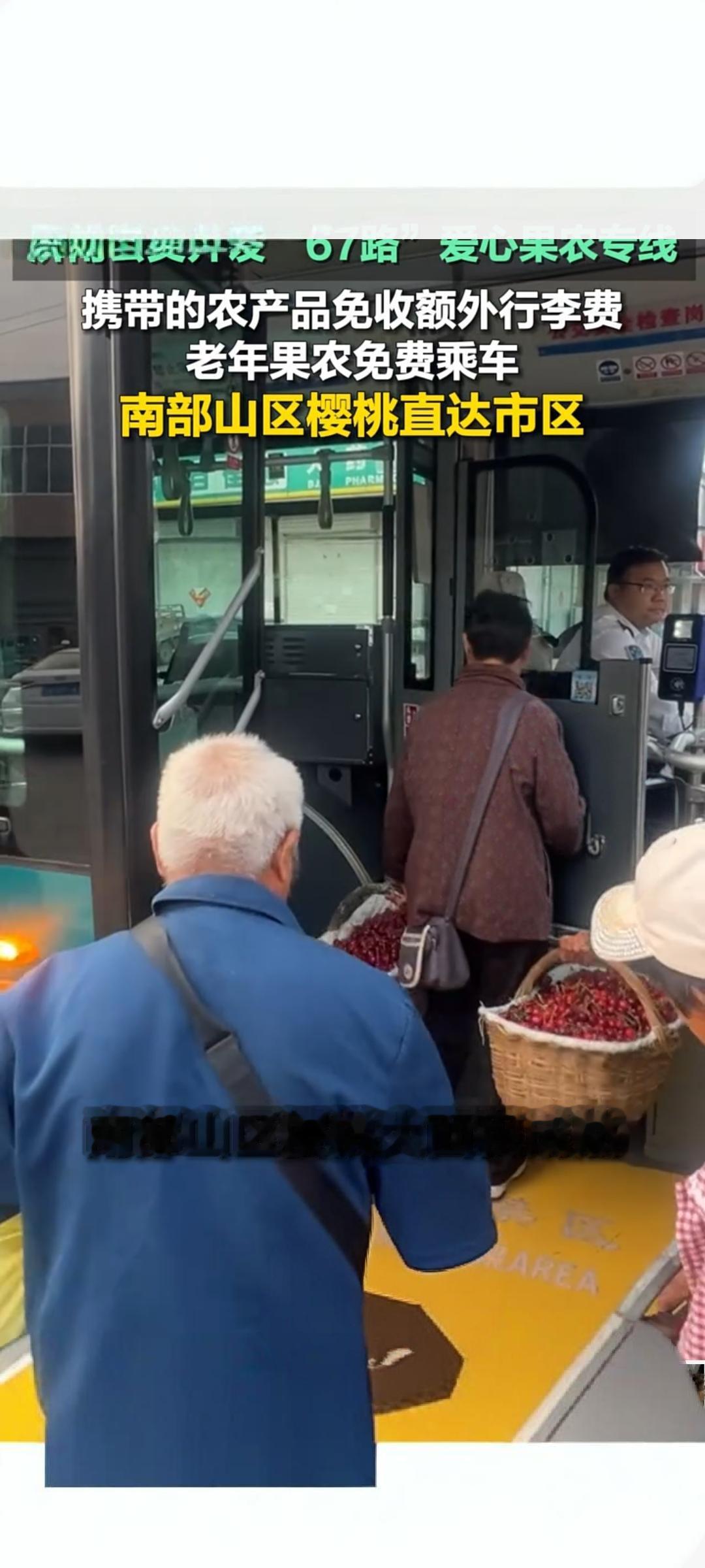 济南公交67路爱心果农专线开通 南山樱桃直达市区
 
初夏时节，济南南部山区樱桃