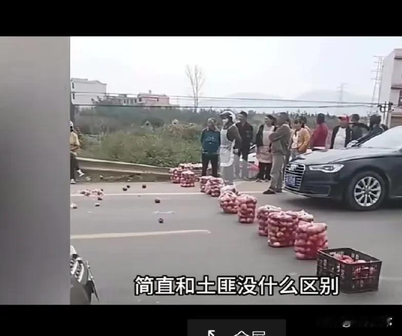 网友友们，大家来看看，云南昭通某地一些村民，他们将一袋袋的苹果横摆在马路中间，逼