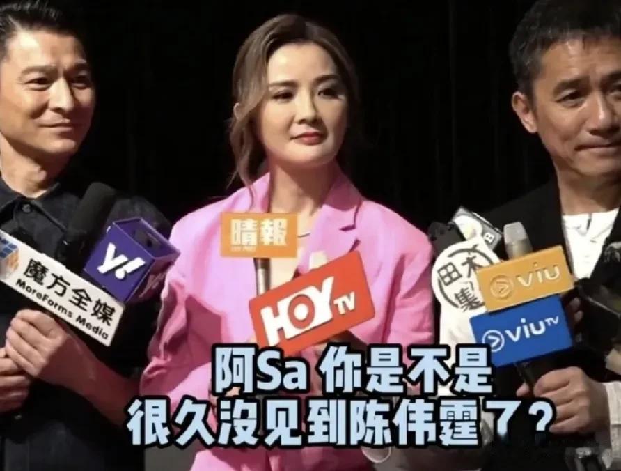 港媒真是太敢问了，真是哪壶不开掉哪壶，阿Sa和陈伟霆同时出席英皇电影巡礼活动，大