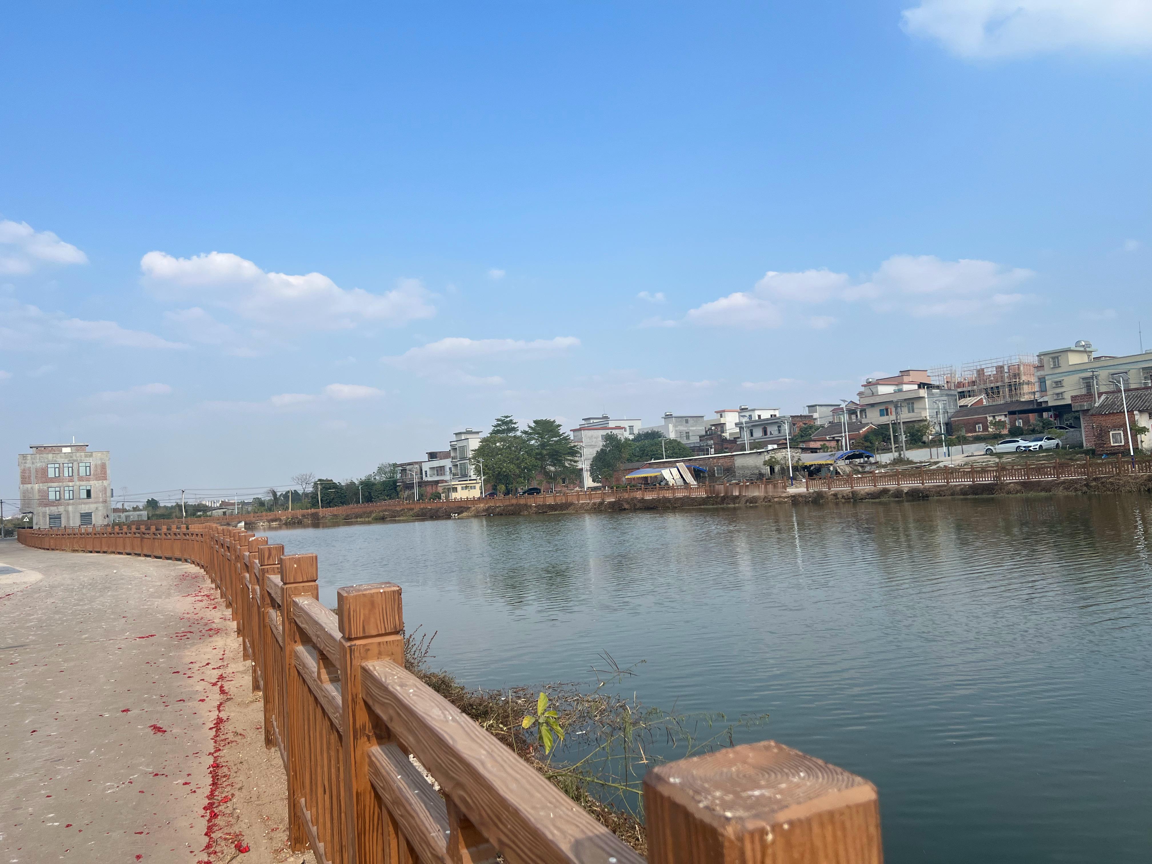 米米又爱看放鞭炮又害怕刚才去拜公了～每年我们都跟着去～村里的景色真不错好好过大年