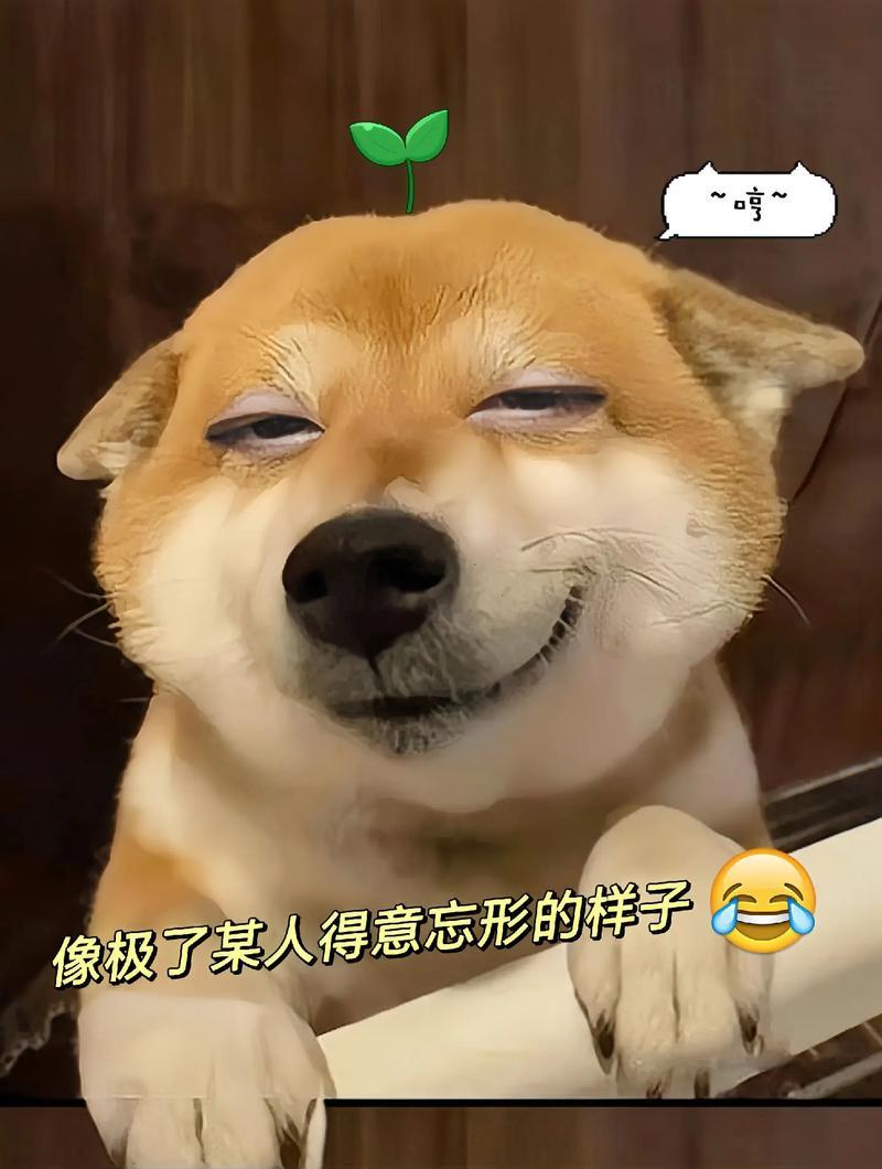 下联：念君无计问搜狗。

（图片来自网络）