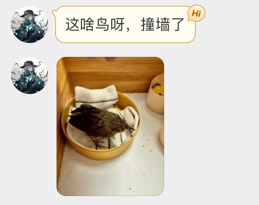 #撞玻璃的鸟# 撞玻璃的矛斑蝗莺一定很疼吧[泪] ​​​