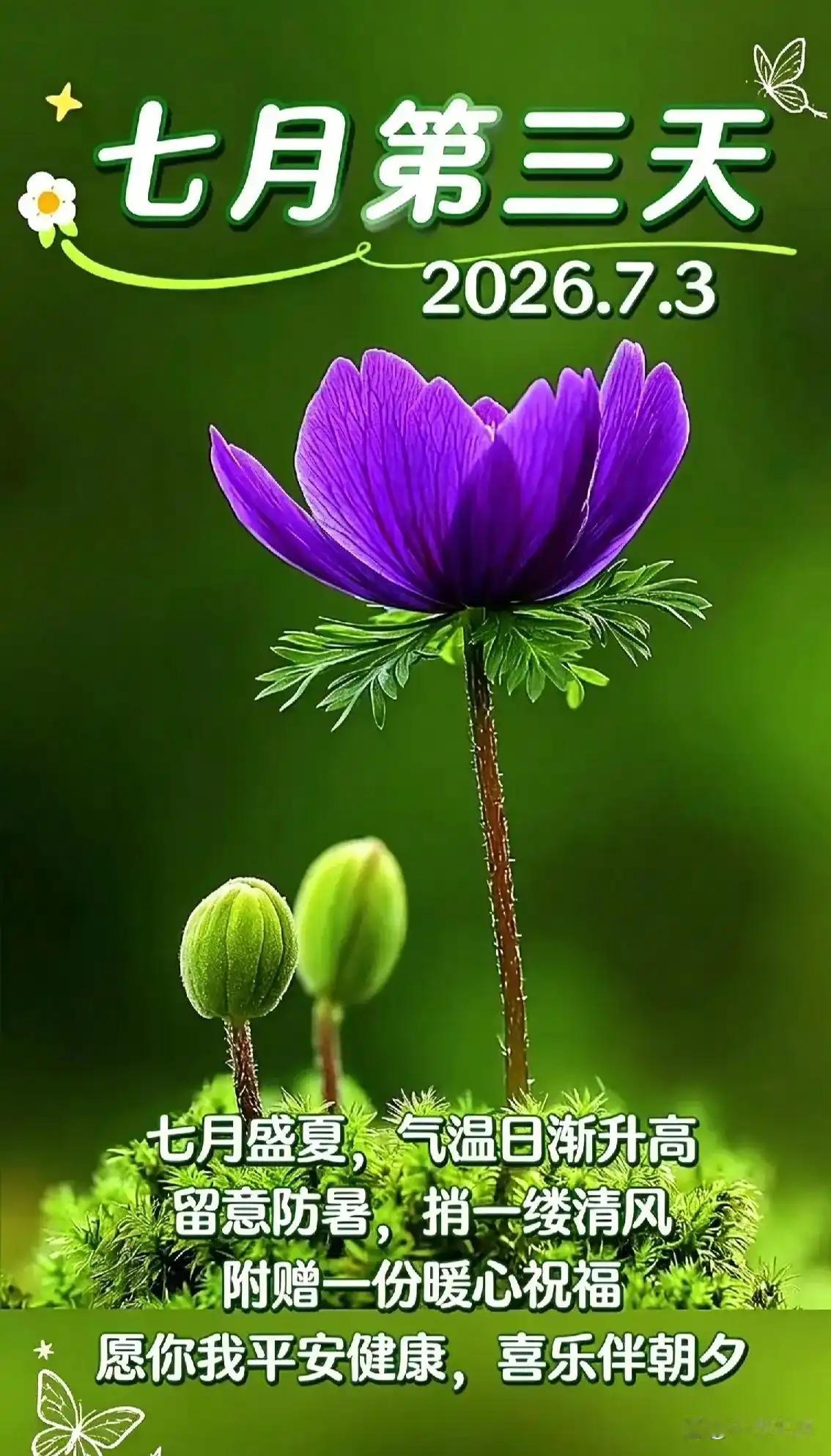 迎着清晨和煦霞光，寄出一份真诚祝愿。    突然发现普通家庭没教社会化     