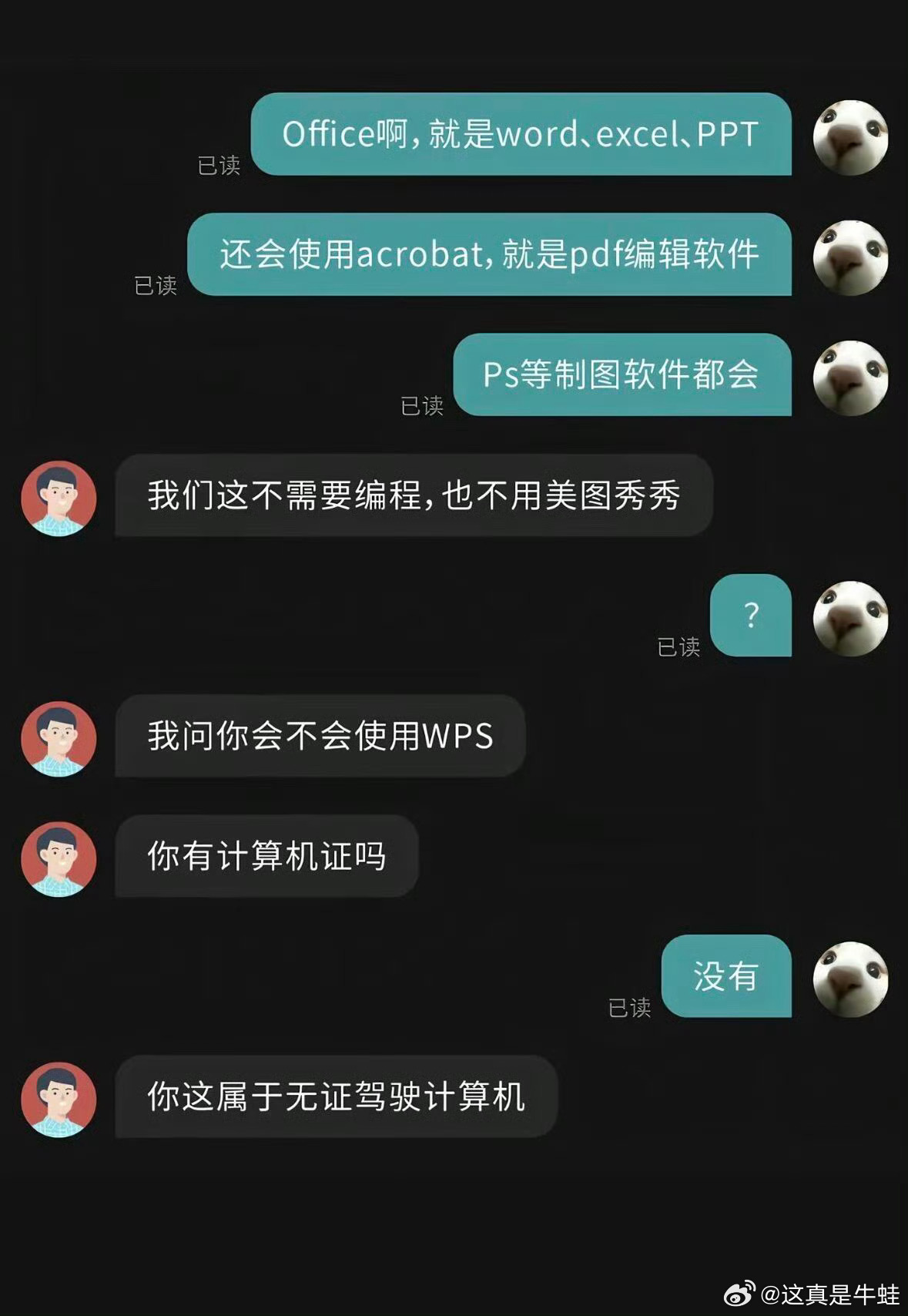 面试因无证驾驶计算机被拒了牛蛙，无证驾驶计算机，我还无证驾驶平板、手机呢，我还无
