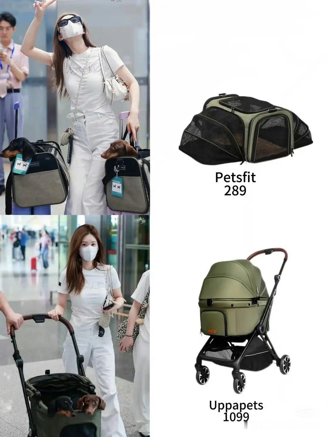 赵露思出国也要带着狗，真的是让狗遭罪 ​​​