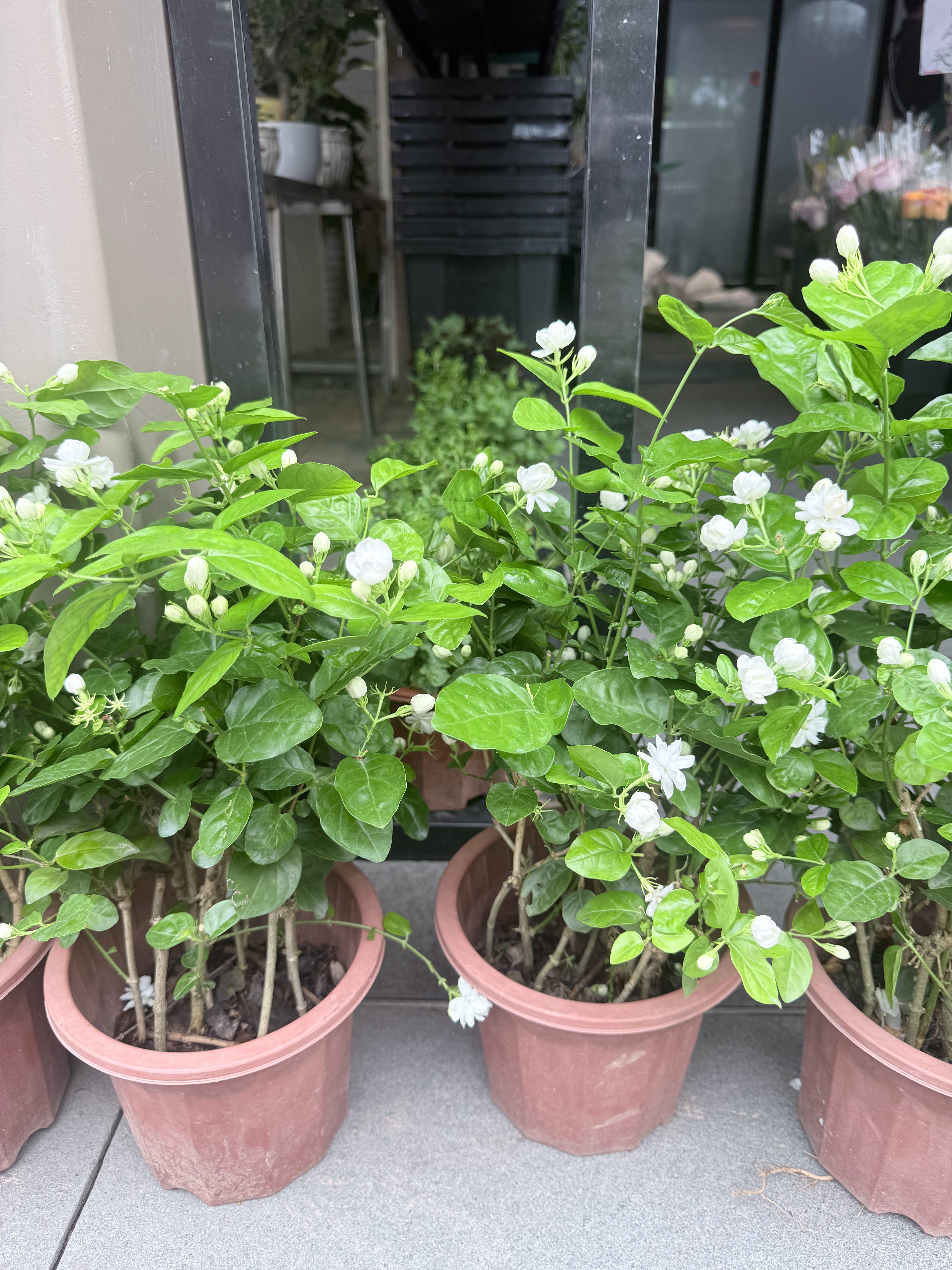 给自己放了个小假  看到物料群里的投喂 瞬间心塞了明天在干活吧