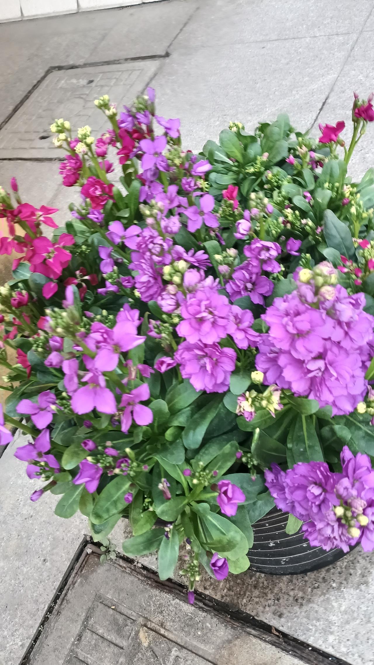 和一个不讲道理的人讲道理有用吗?和不讲道理的人讲道理，效果有限，但根据具体情况采