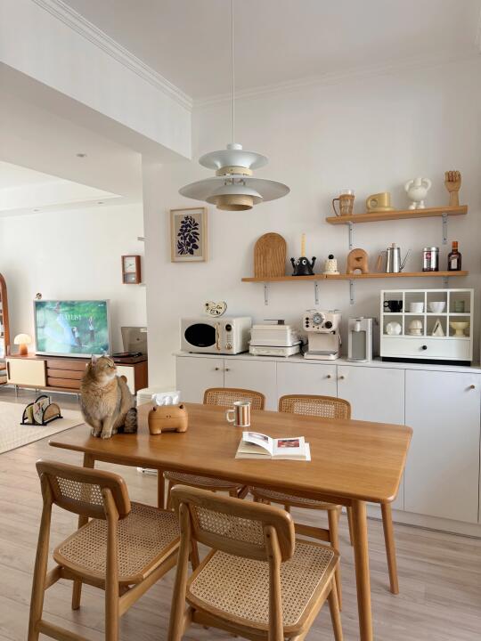 普通人的家，干干净净就好！