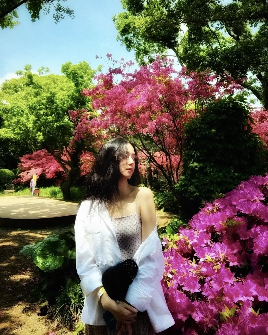 🌳✨🌿🌺🌱
