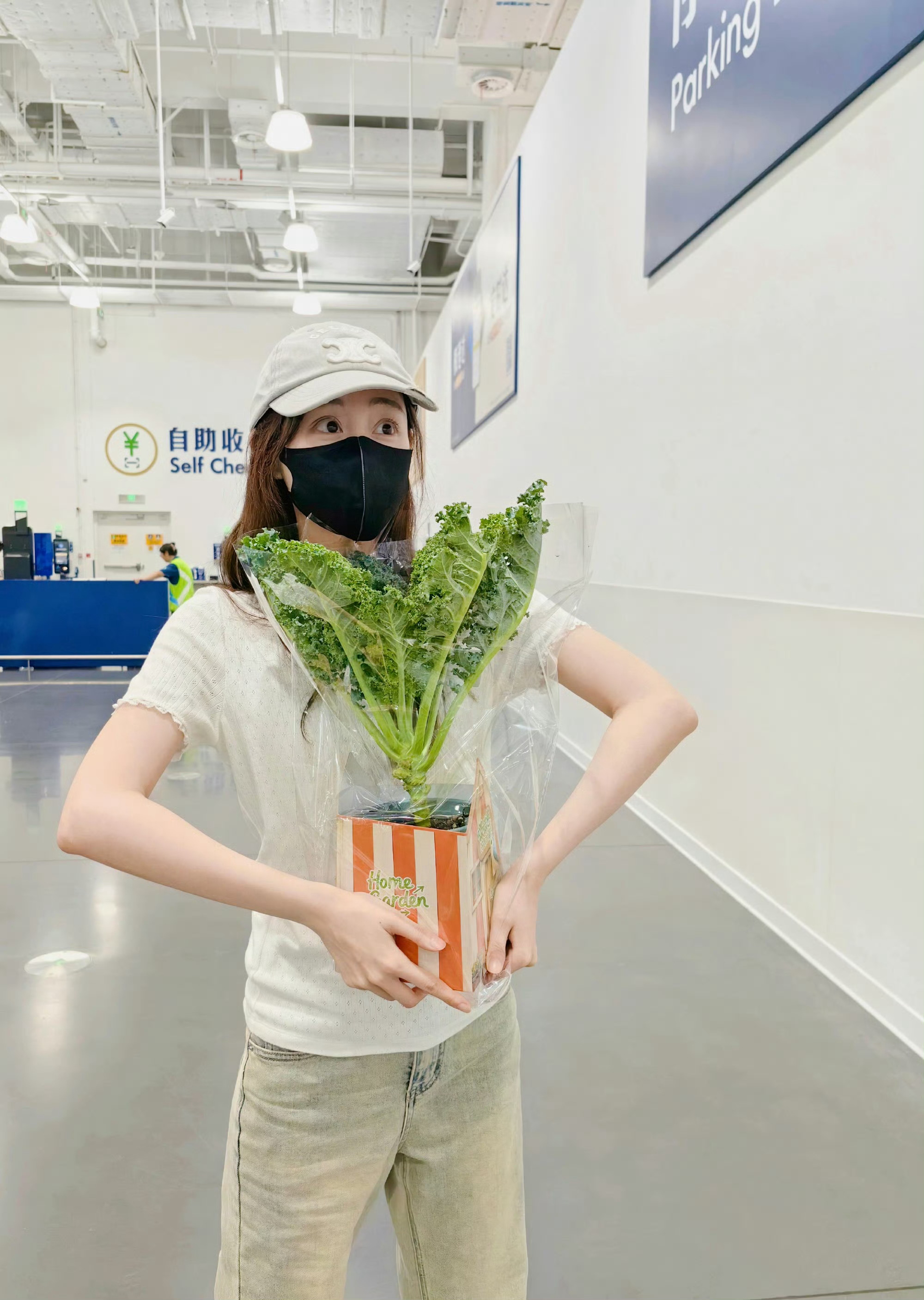 好看的盆栽 好萌的祝绪丹